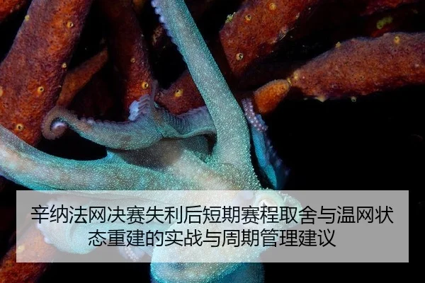 辛纳法网决赛失利后短期赛程取舍与温网状态重建的实战与周期管理建议